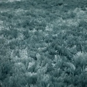 Billow Shag Sea Rug - 10' x 13' Closeup