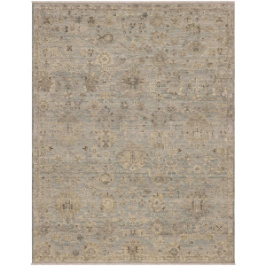 Sundar Charu Gray Rug