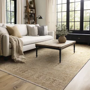 Sundar Dayalu Silver Rug - 8' x 10' Lifestyle