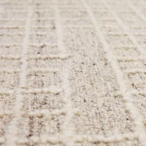 Forsyth Park Groveland Ivory Beige Rug - 8' x 10' Closeup