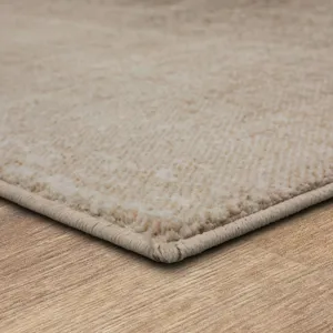 Milestones by Drew & Jonathan Home Mankota Light Grey Rug - 8' x 10' Angle