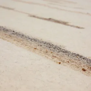 Forsyth Park Oyster Creek Ivory Beige Rug - 8' x 10' Closeup