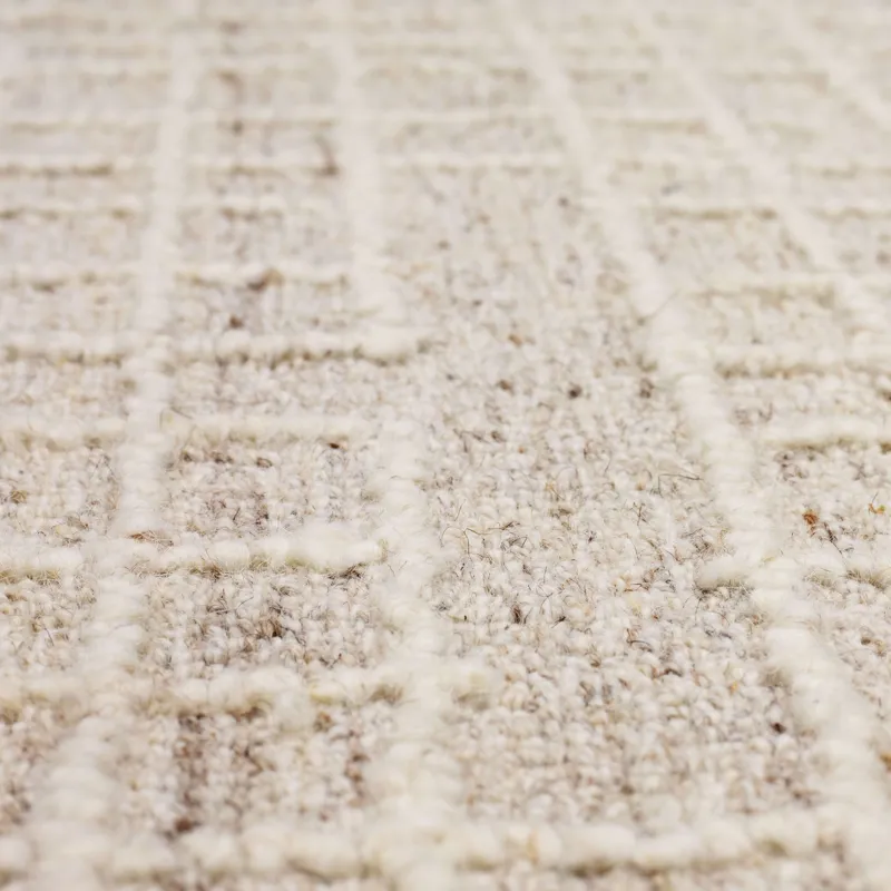 Forsyth Park Groveland Ivory Beige Rug - 8' x 10' Closeup