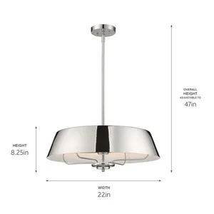 52543pn-dim.jpg