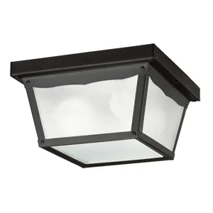 Outdoor Miscellaneous Collection Outdoor Flush Mt 2Lt (Black (Painted))