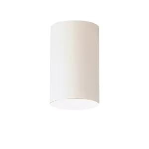 Outdoor Flush Mt 1Lt (White)