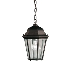 Outdoor Hanging Pendant 1Lt (Black (Painted))