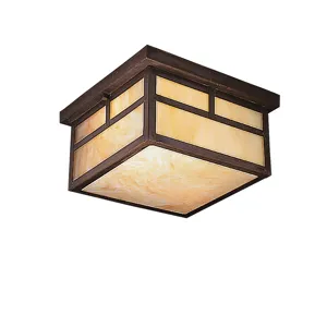 Outdoor Flush Mt 2Lt