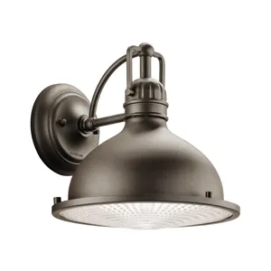 Outdoor Wall 1 Light LED OZ (Olde Bronze)