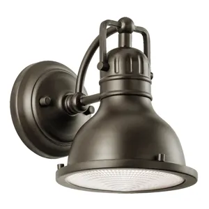 Outdoor Wall 1Lt (Olde Bronze)
