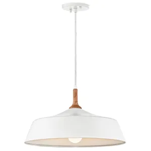 Danika Collection Danika 1 Light Pendant - WH WH (White)