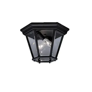 Outdoor Flush Mt 2Lt (Black (Painted))