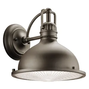 Outdoor Wall 1Lt (Olde Bronze)