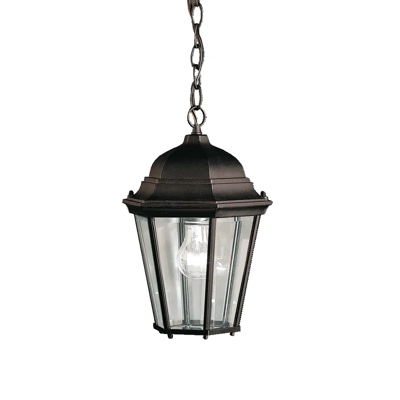 Outdoor Hanging Pendant 1Lt (Black (Painted))