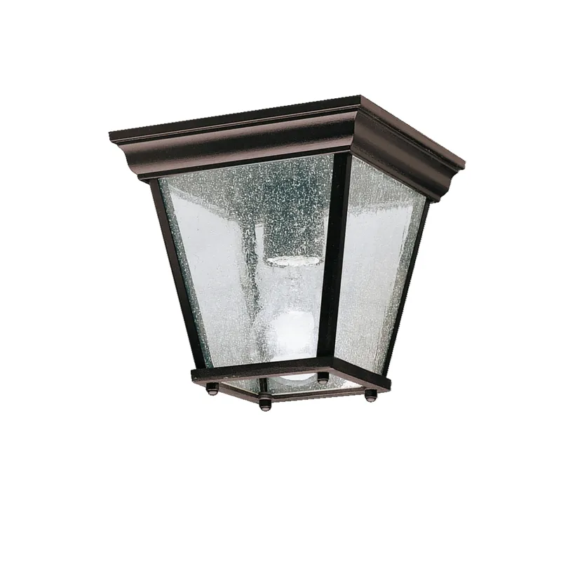 Outdoor Flush Mt 1Lt (Black (Painted))