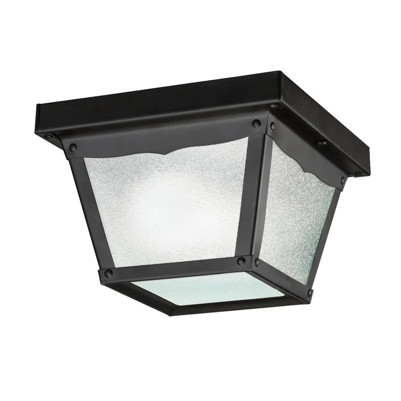 Outdoor Miscellaneous Collection Outdoor Flush Mt 1Lt (Black (Painted))
