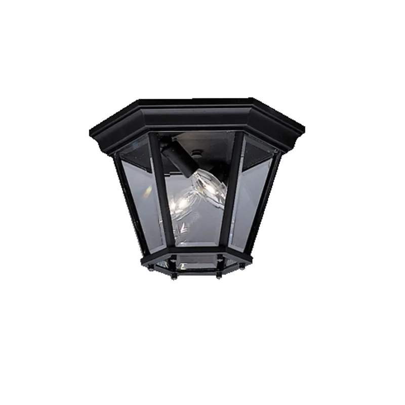 Outdoor Flush Mt 2Lt (Black (Painted))