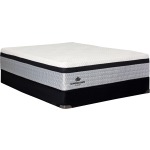 Tifton Hybrid Eurotop Cushion Firm