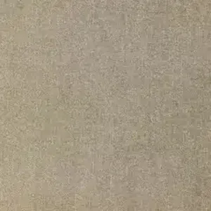 D203436.webp