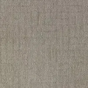 C202964.webp