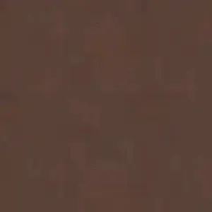 DL159675.webp