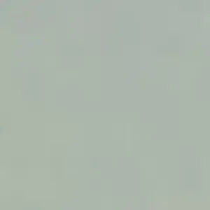 BL981090.webp