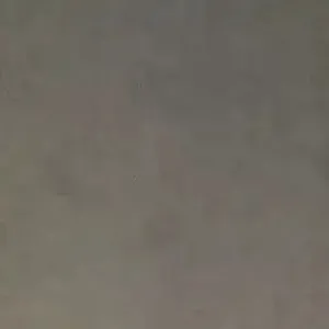D206659.webp