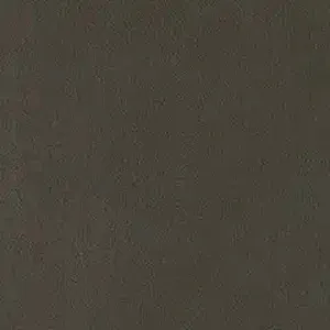 D185559.webp