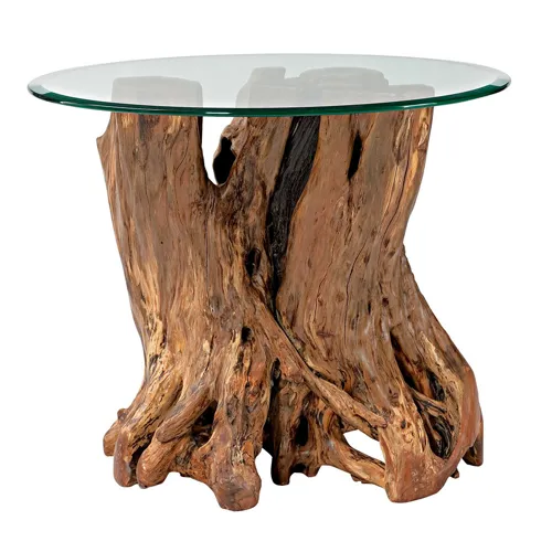 Hidden Treasures Root Ball End Table
