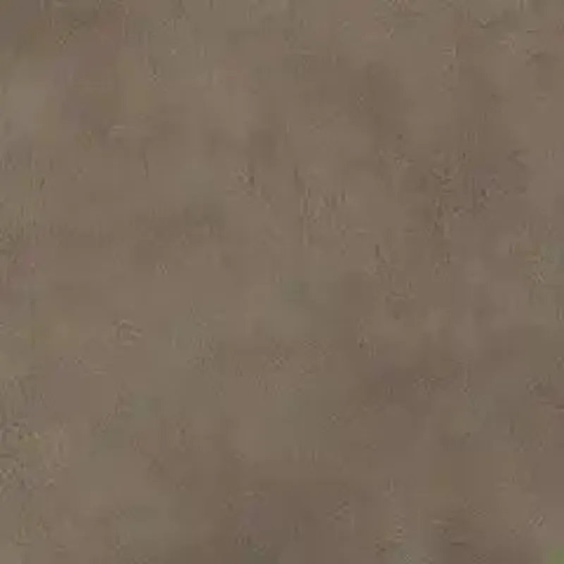 D182573 (1).webp