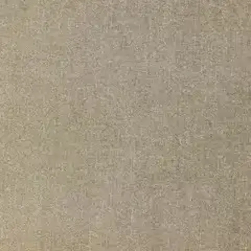 D203436.webp