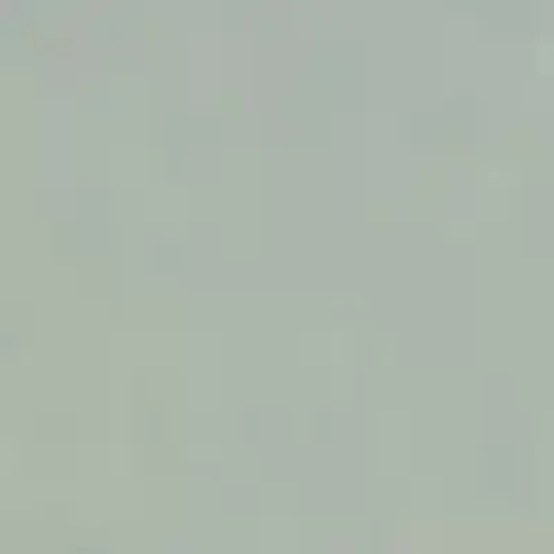 BL981090.webp