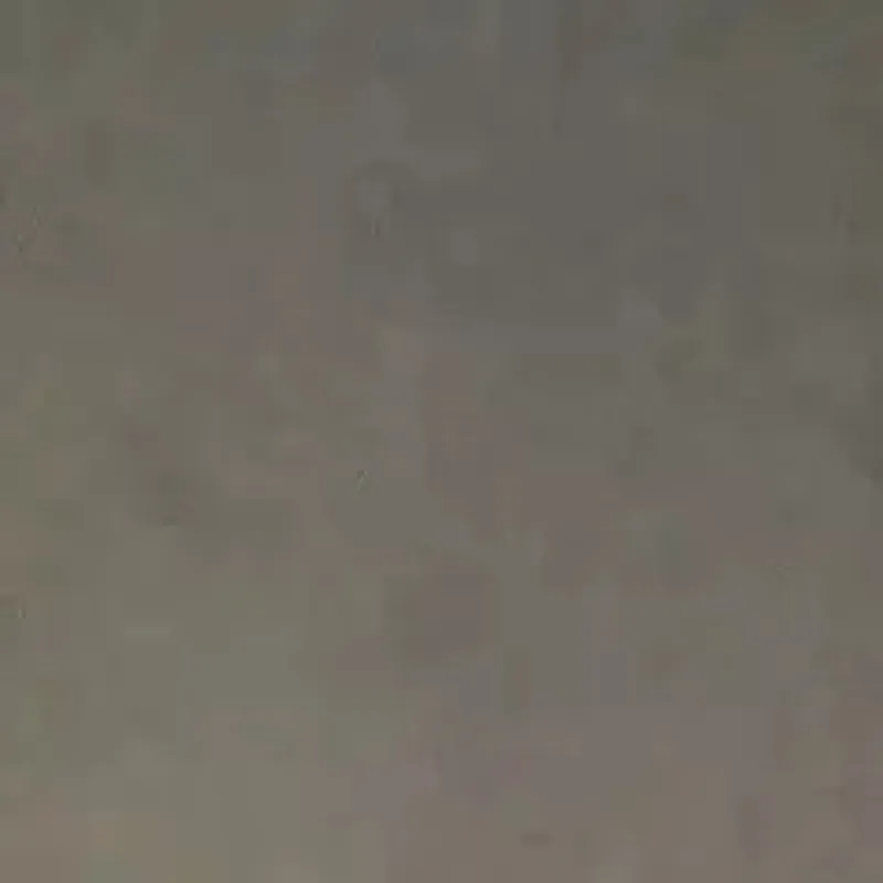 D206659.webp