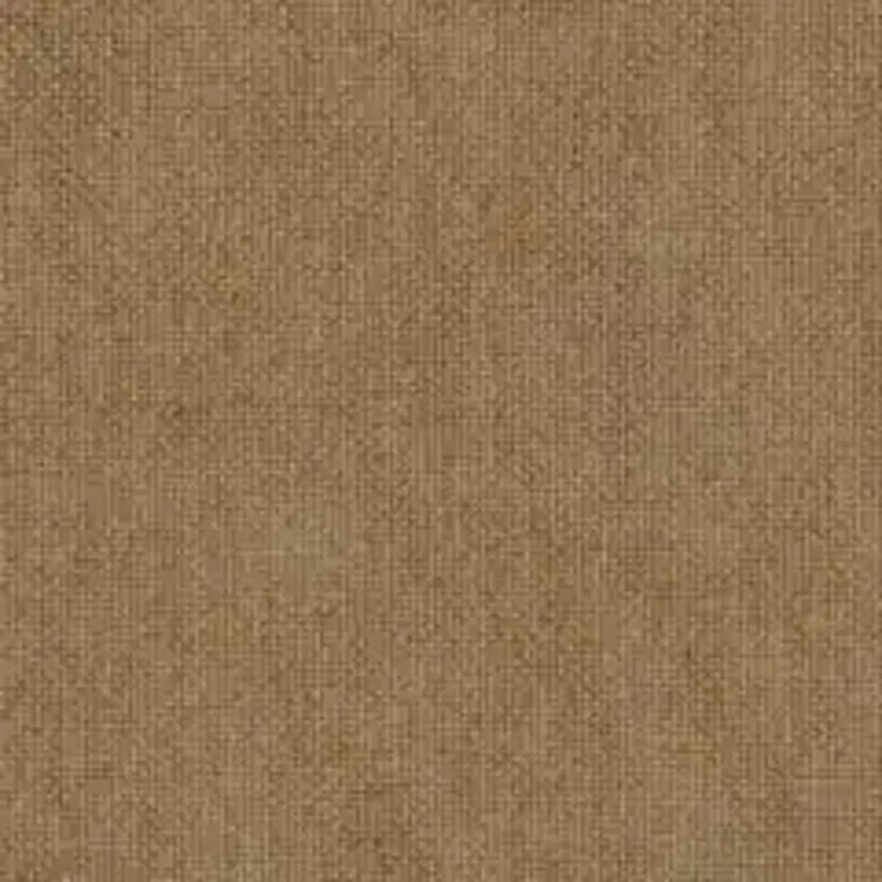 D207275.webp