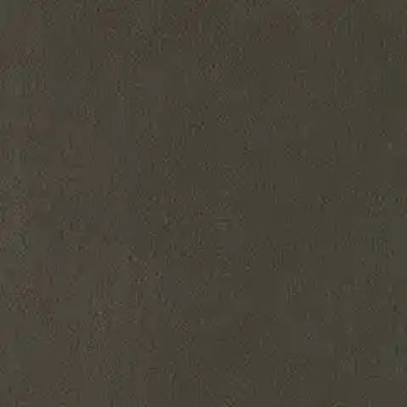 D185559.webp