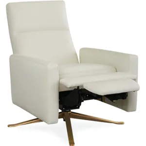 Relaxor Swivel