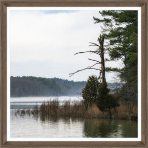 Early Morning at the Lake