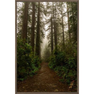 Deep Woods