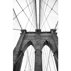 The Bridge Crossing