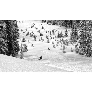 Freeriders