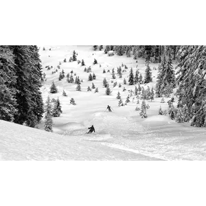 Freeriders