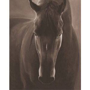 Beautiful Spirit
