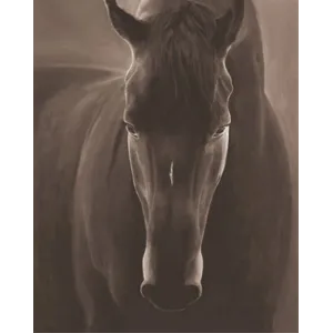Beautiful Spirit