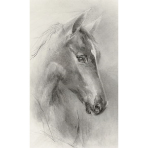 Lonely Horse I