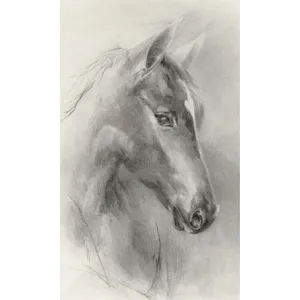 Lonely Horse I