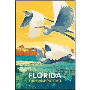Florida Egrets