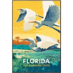 Florida Egrets