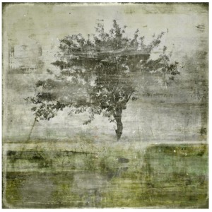 Early Winter IV