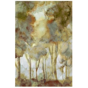 Wet Forest