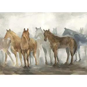 In the Wild Desert II